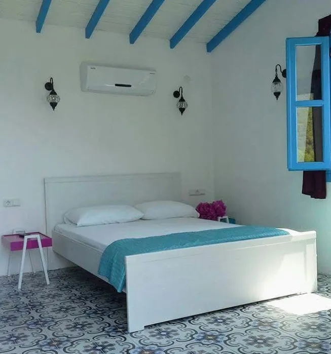 4 KİŞİLİK AİLE ODASI Blue Morpho