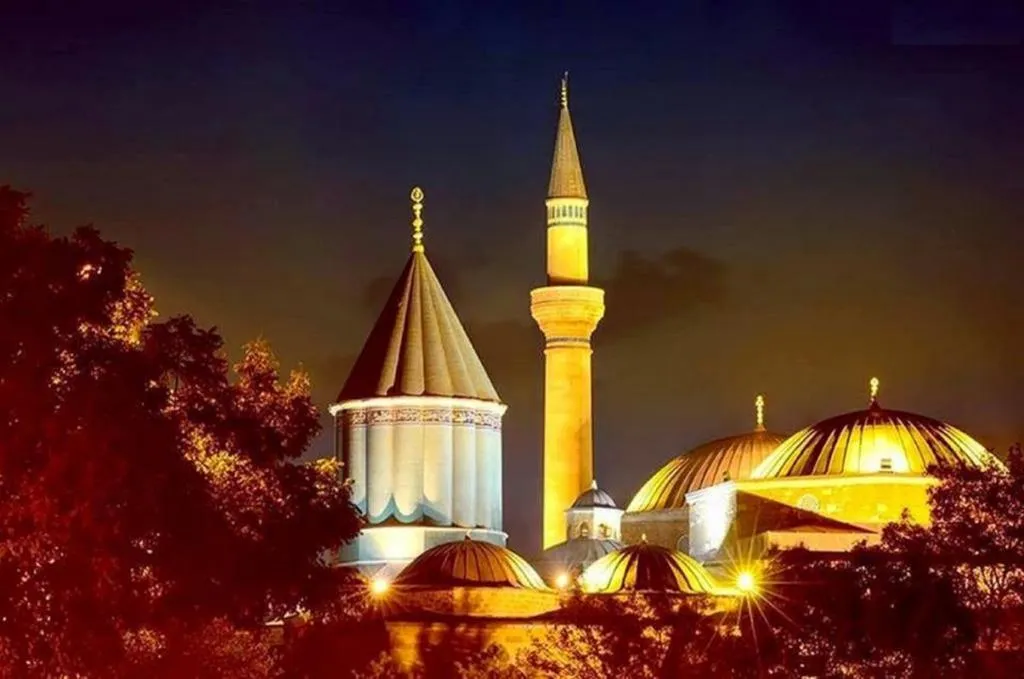 Genel Görünüm