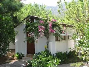 Meltem Otel Adrasan