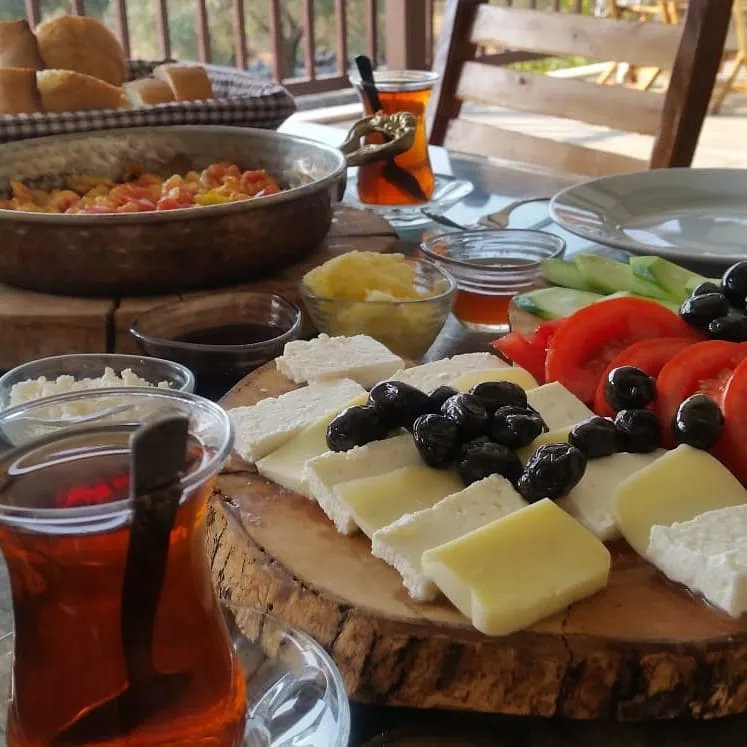 Genel Görünüm