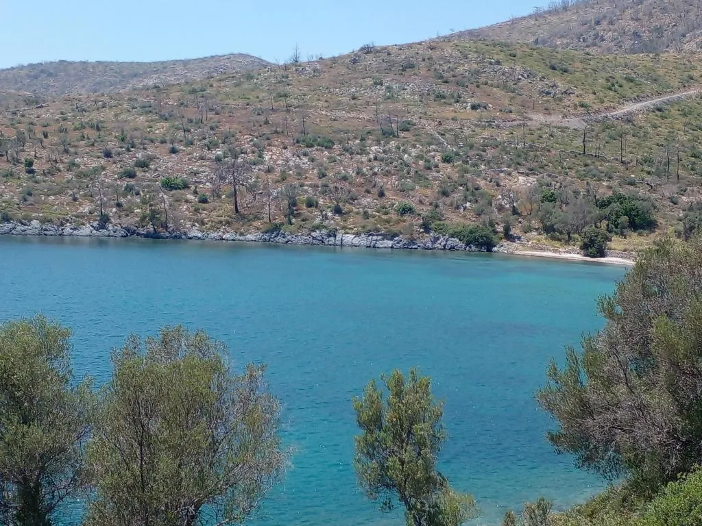 Diğer