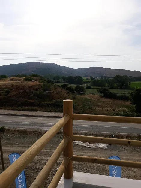 Genel Görünüm