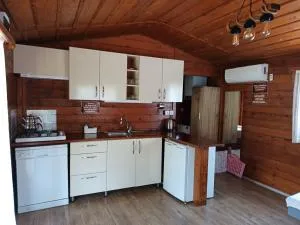 Defne Wood Home