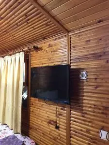 Olympos Zeytin