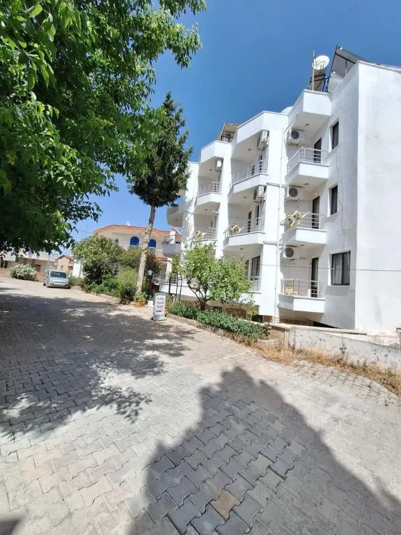 Diğer