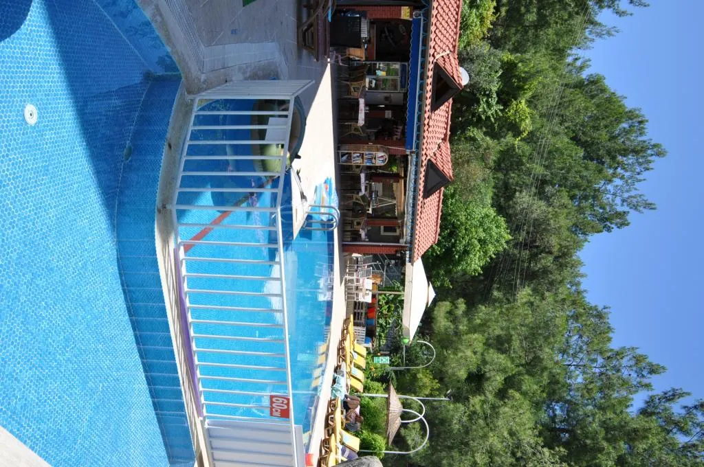 Genel Görünüm