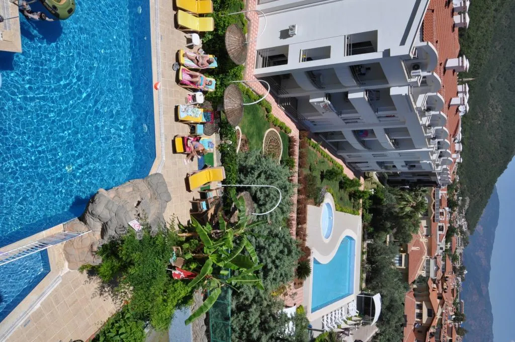 Genel Görünüm
