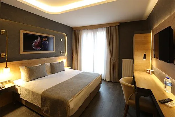 Standart Oda,Şehir Manzaralı,Klimalı