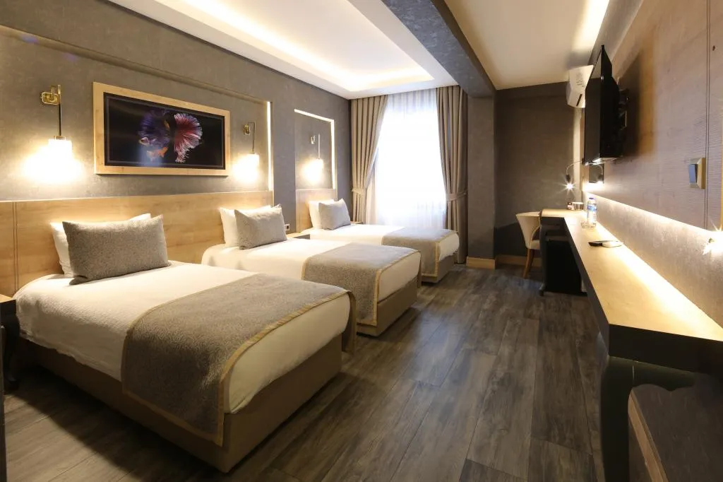 Triple,Şehir Manzaralı,Klimalı