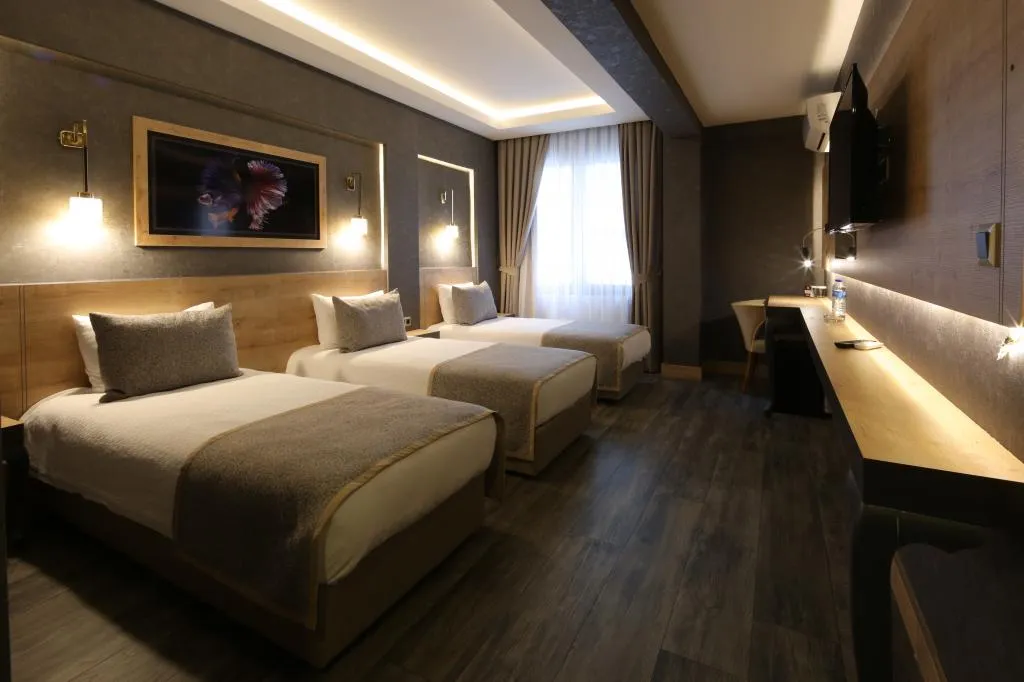 Triple,Şehir Manzaralı,Klimalı