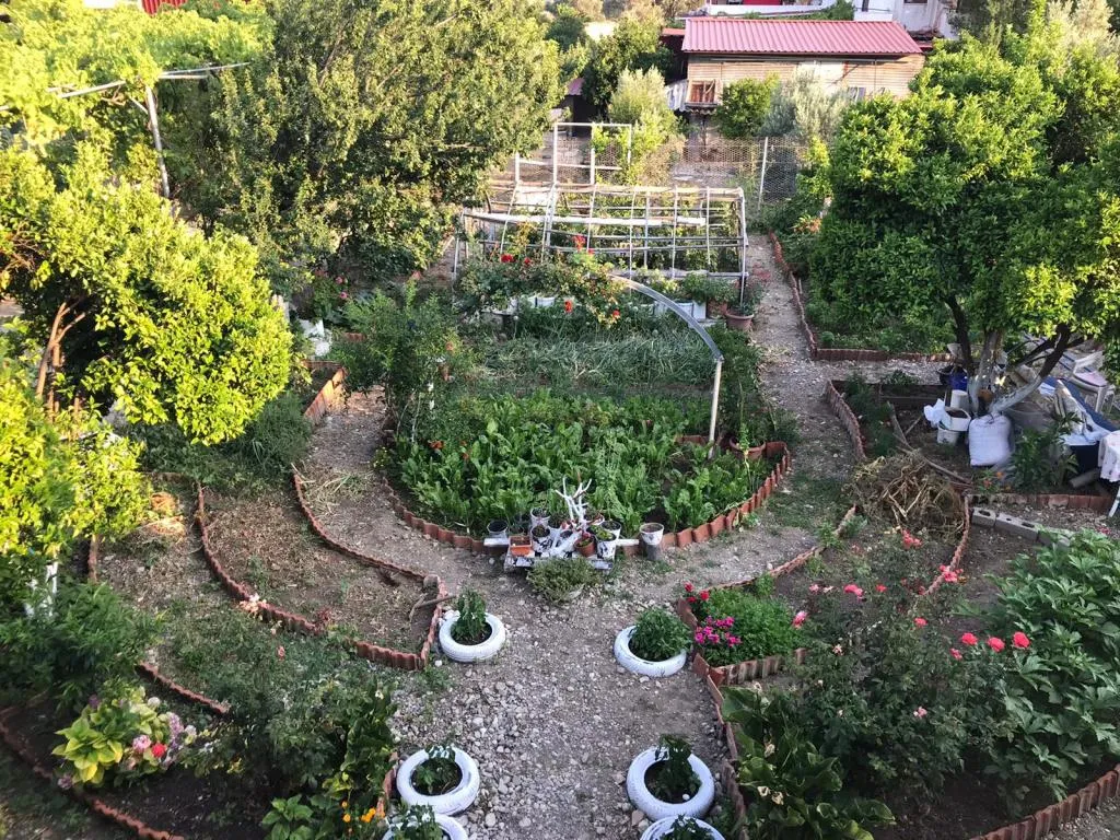 Oda
