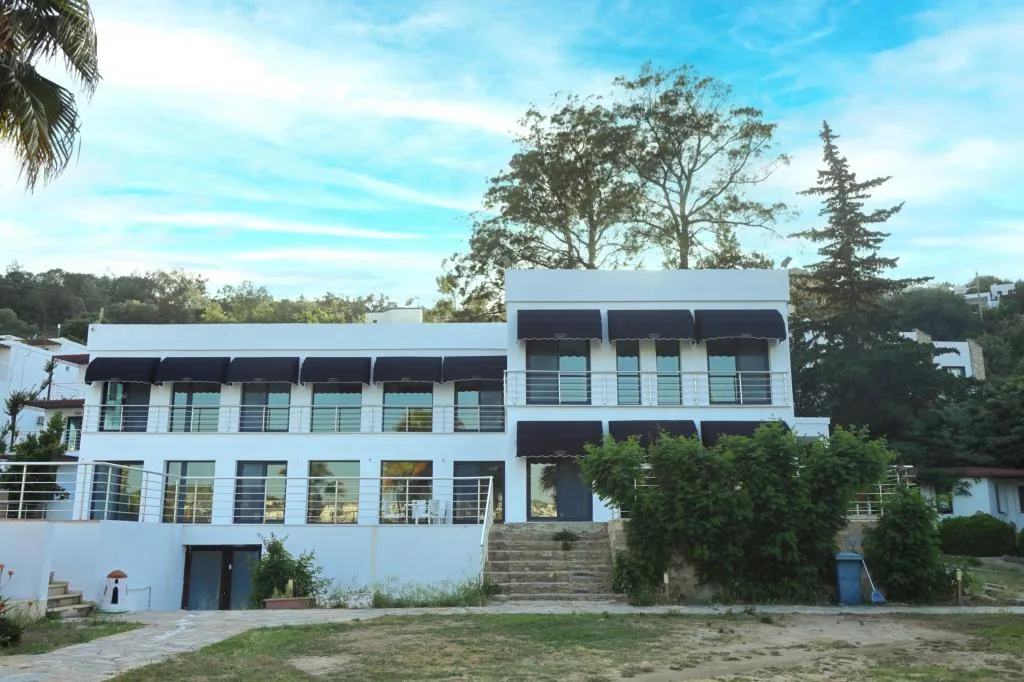Genel Görünüm