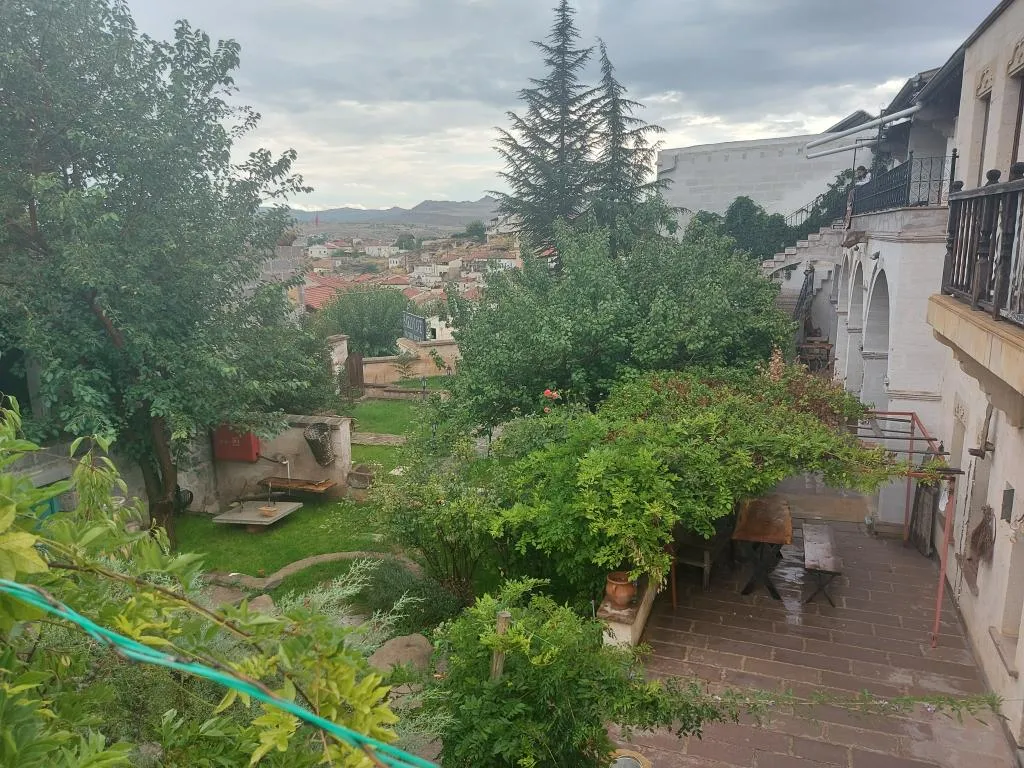 Genel Görünüm