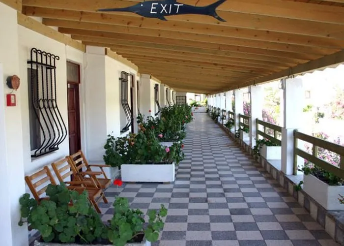 Genel Görünüm