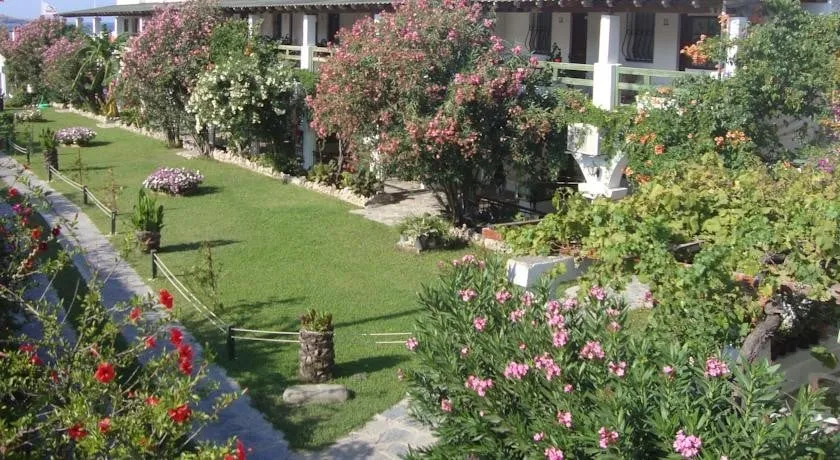Genel Görünüm