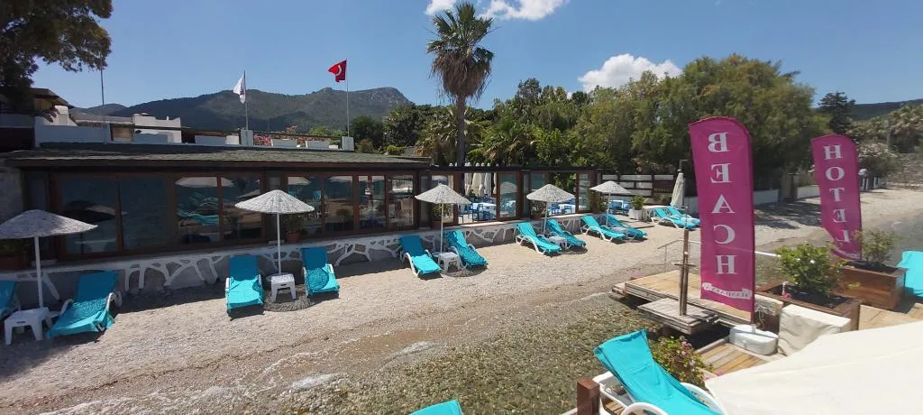 Genel Görünüm