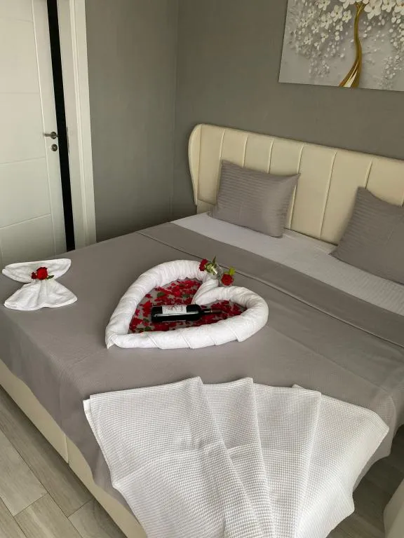 Studio suite
