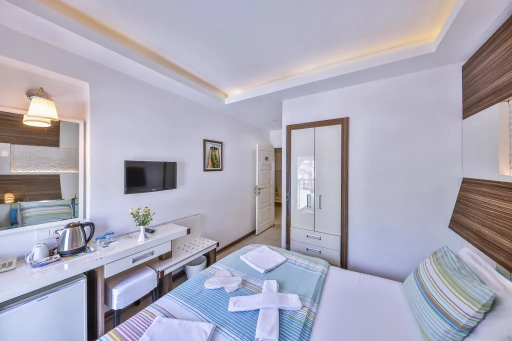 Standart Oda,Dağ Manzaralı