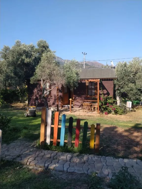 Genel Görünüm