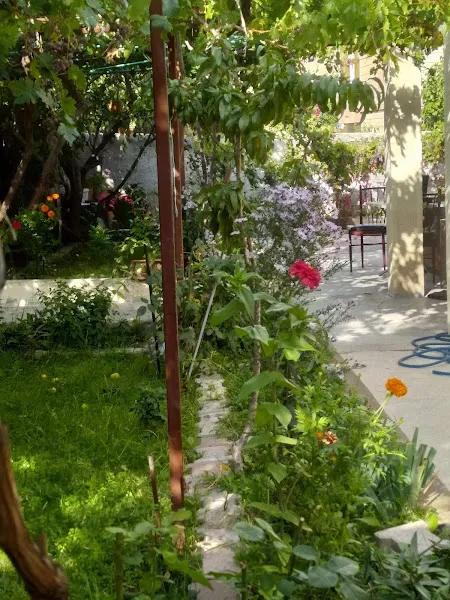 üst giriş 2+1
