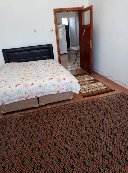 üst giriş 2+1