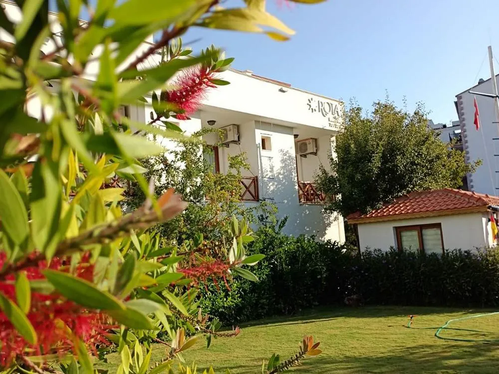 Genel Görünüm