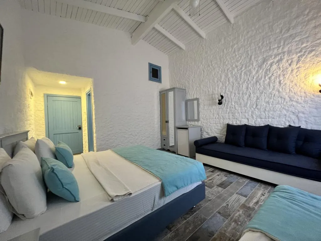 Standart Oda,Dağ Manzaralı