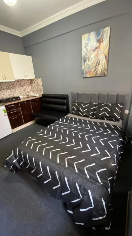 Standart Oda,Şehir Manzaralı,Mutfak Ekipmanlı - Half Kitchen