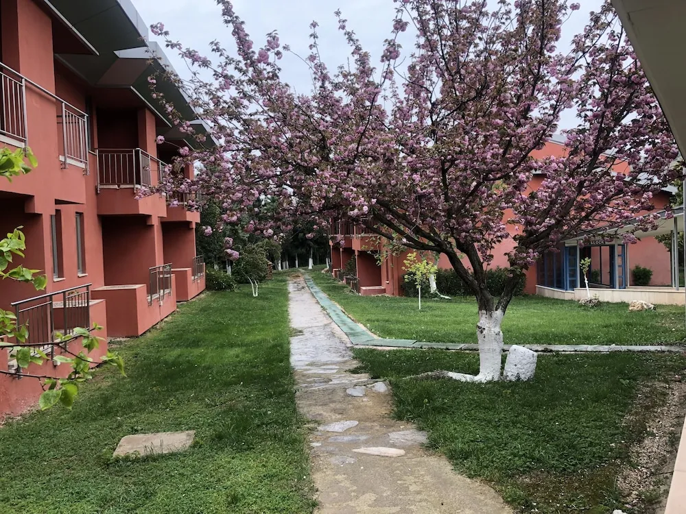 Standard Üç Kişilik Oda