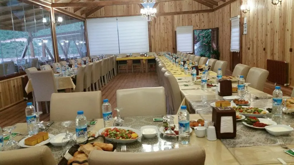 Genel Görünüm