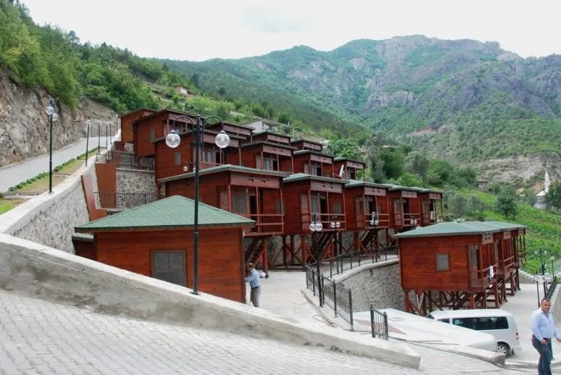 Genel Görünüm