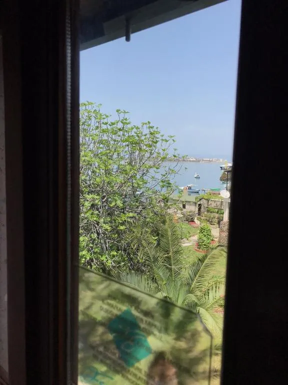 Standart Oda,Şehir Manzaralı