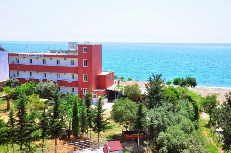 Genel Görünüm