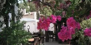 Çarıkçı Otel Marmaris (Adult Only)