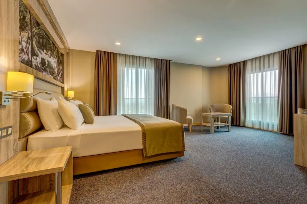 Junior Suite,Orman veya Şehir Manzaralı,Balkonlu