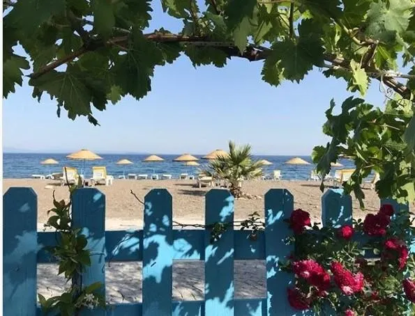 Genel Görünüm