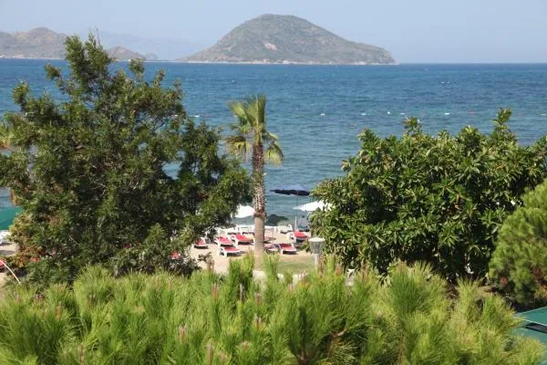 Genel Görünüm