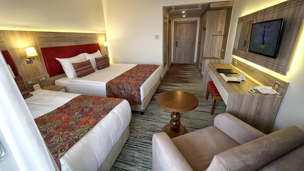 Standart Oda,Dağ Manzaralı