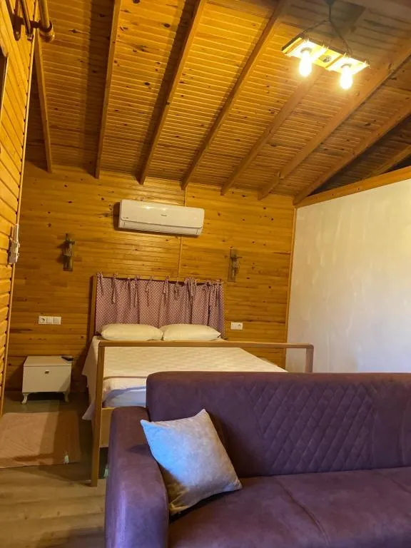 Diğer