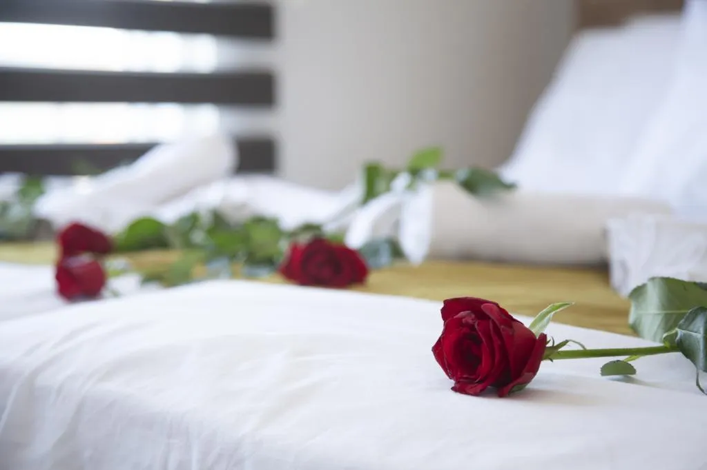 Suite 1 + 1 Oda ,Şehir Manzaralı,Balkonlu