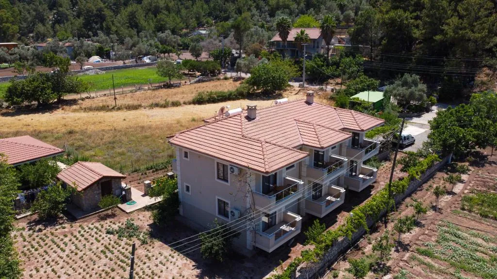 Genel Görünüm