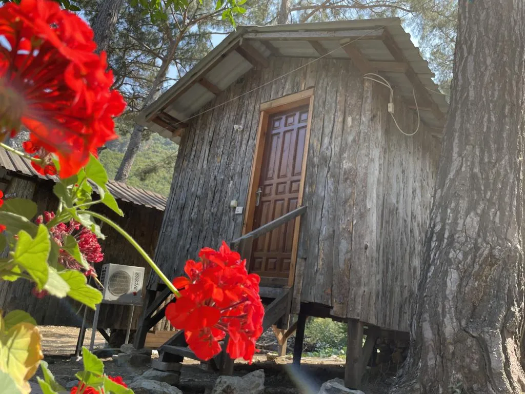  BUTİK ODA BUNGALOW
