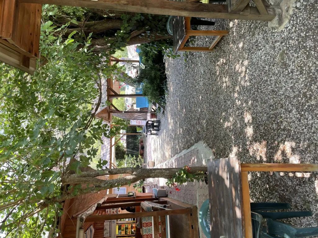 Genel Görünüm