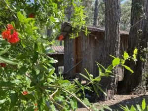 Saban Pansion Treehouses