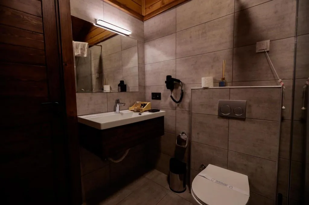 Deluxe Loft,Kısmi Göl Manzaralı,Şömineli