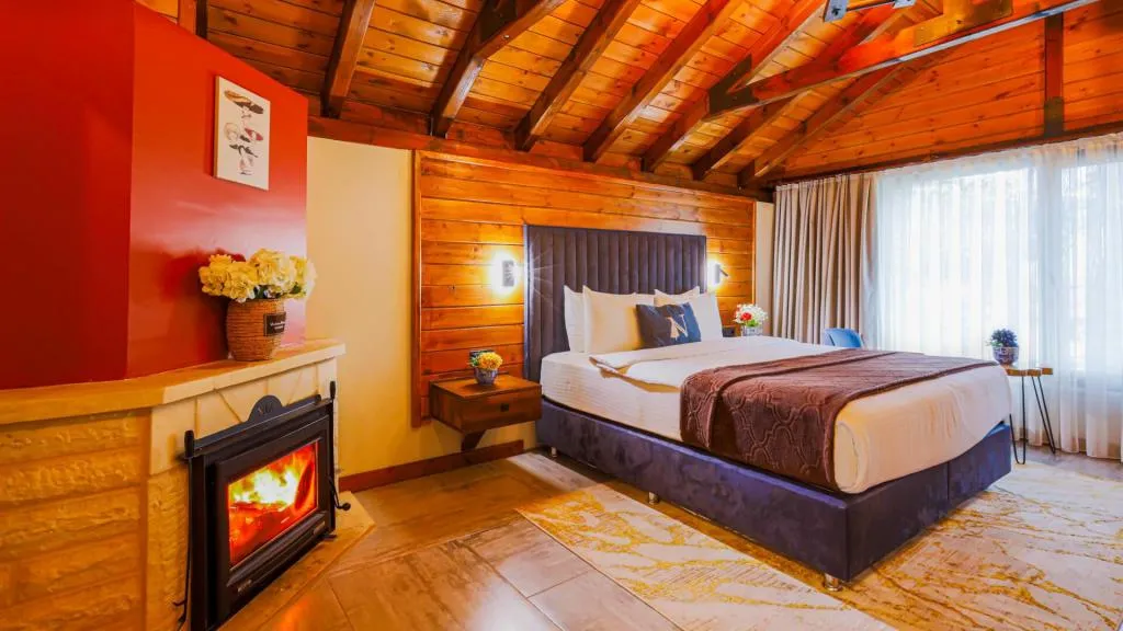 Deluxe Loft,Kısmi Göl Manzaralı,Şömineli