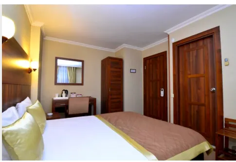 Standart Oda,Şehir Manzaralı