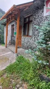 Ladin Dağ Evi Suit