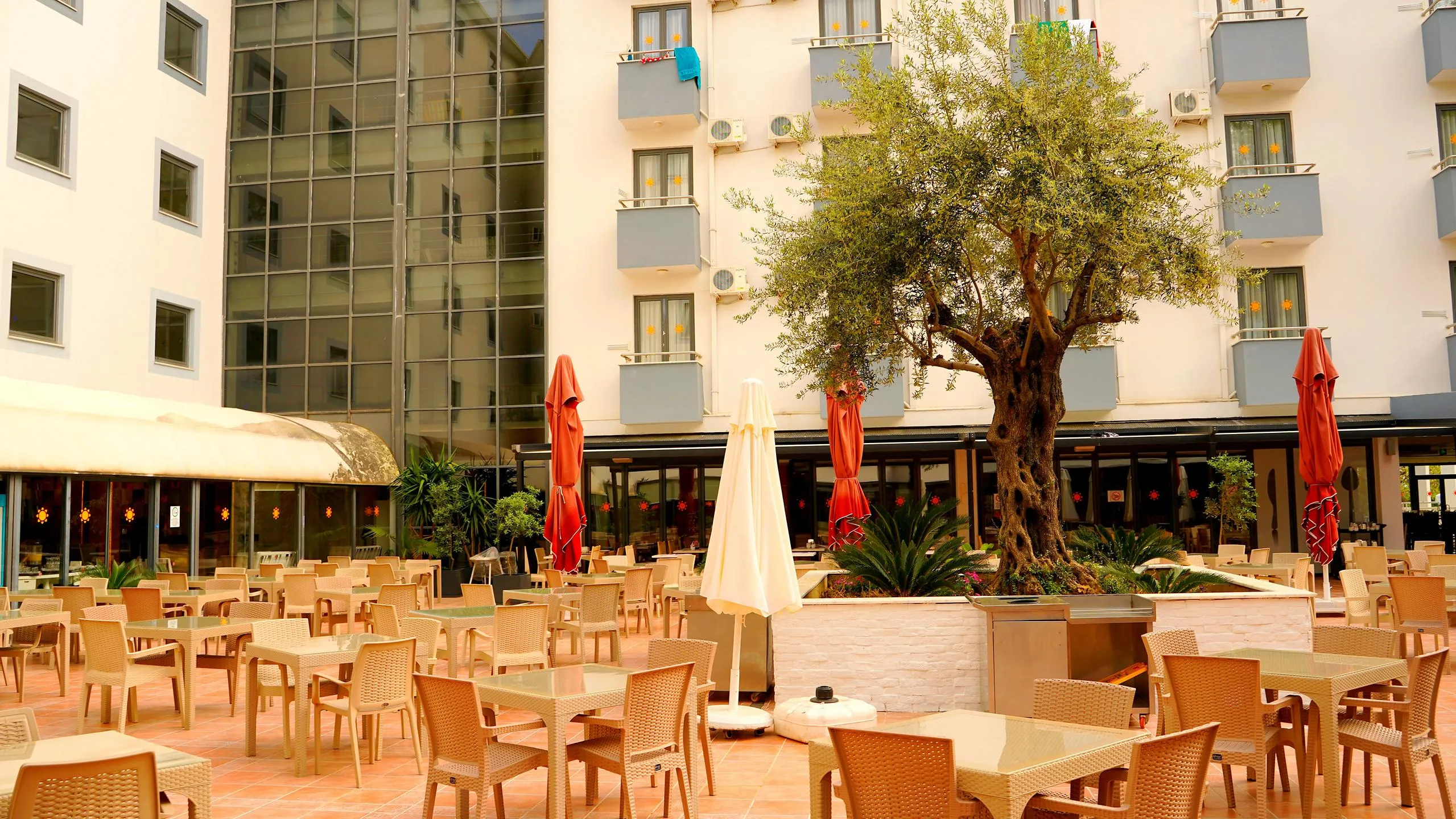 Ana Restoran