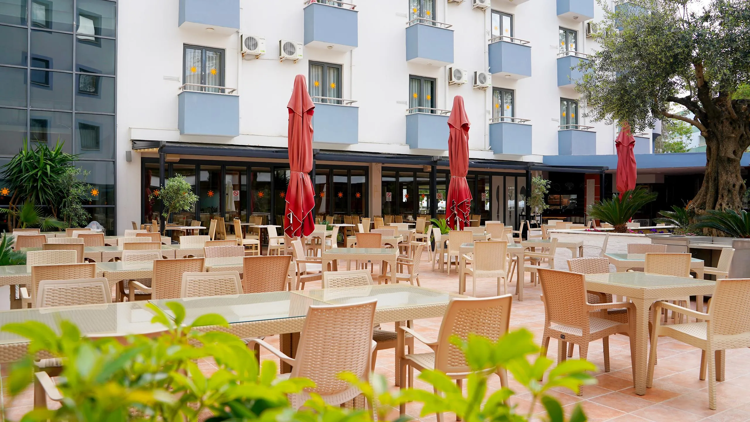 Ana Restoran